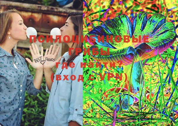 mdpv Белокуриха