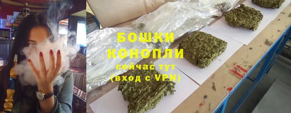 mdpv Белокуриха